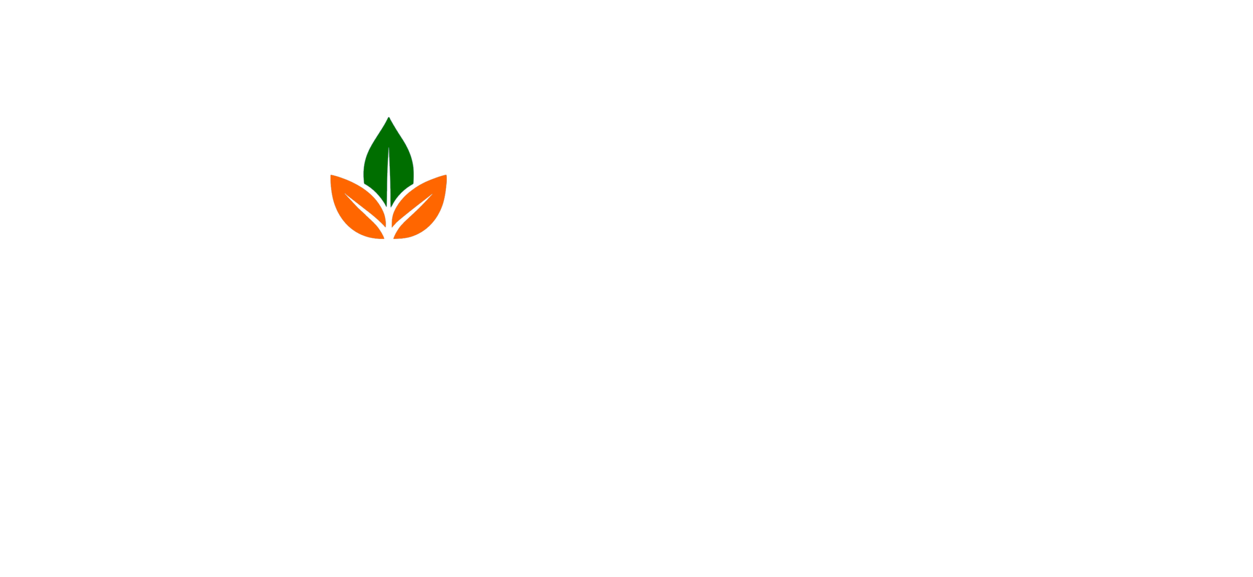 naturalspiceindonesia.com